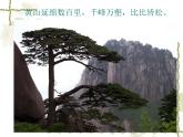 《黃山天下奇》課件2