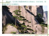 《黃山天下奇》課件2