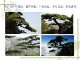 《黃山天下奇》課件2