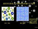 12 美化生活的装饰布--初中美术人美版八年级上册同步课件
