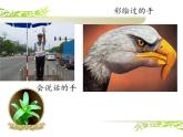 冀美版七年级美术上册 《神奇的手》课件