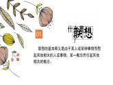 4.生肖的聯(lián)想--初中美術(shù)人美版七年級(jí)上冊(cè)同步課件