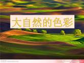 6.大自然的色彩--初中美术人美版七年级上册同步课件