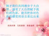 6.大自然的色彩--初中美术人美版七年级上册同步课件