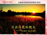 6.大自然的色彩--初中美术人美版七年级上册同步课件