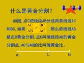 人教版七年級美術(shù)上冊第四單元《描繪我們的校園》參考課件