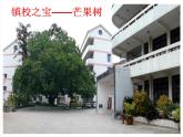 七年級美術(shù)上冊第四單元第2課設(shè)計我們的校園課件2
