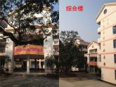 七年級美術(shù)上冊第四單元第2課設(shè)計我們的校園課件2