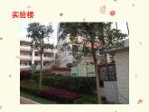 人教版七年級美術(shù)上冊第四單元 《設(shè)計我們的校園》參考課件