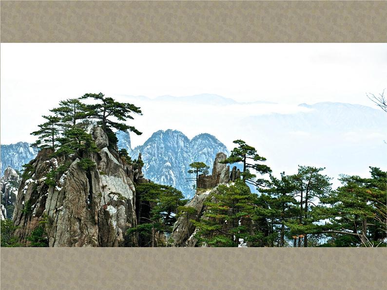 苏少版七年级美术上册 第1课 抒情与写意——中国花鸟画课件PPT第3页