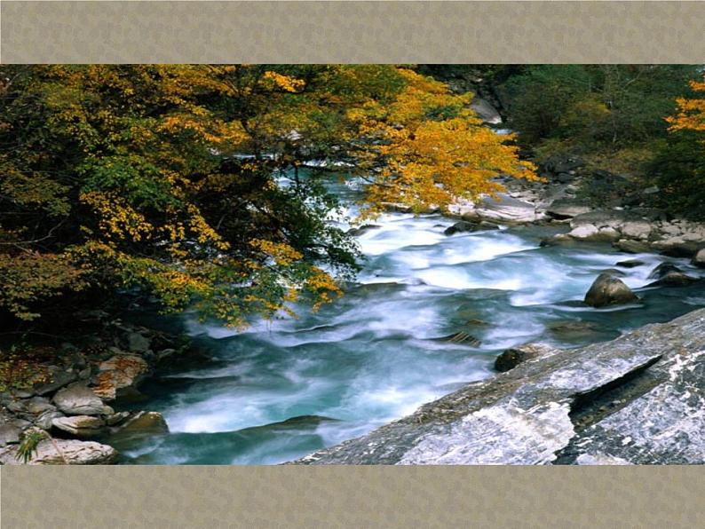 苏少版七年级美术上册 第1课 抒情与写意——中国花鸟画课件PPT第4页