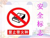 美術(shù)人教版七年級下冊【課件+教案+素材】第5單元