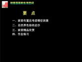 美術(shù)人教版八年級下冊【課件+教案+素材】第4單元 第1課
