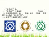 美術(shù)人教版九年級(jí)下冊(cè)【課件+教案+素材】第2單元