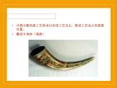 新美術(shù)人教版九年級(jí)上冊(cè)【課件+教案+素材】第5單元 第3課