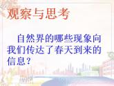 美術(shù)人教版七年級下冊【課件+教案+素材】第2單元 第2課