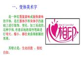 人教版美術(shù)七上 3.1 有創(chuàng)意的字 課件   (共26張PPT)