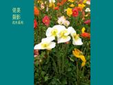 人教版初中美術(shù)九年級上冊-1.1 古代中國畫 課件