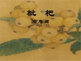 人教版初中美术九年级上册-1.1 枇   杷 课件