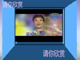 人教版初中美术九年级上册-5.3  民族风情 课件