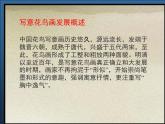 新人美版七年級(jí)下冊(cè)8寫意花卉ppt課件