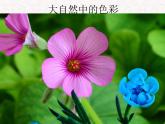 人教版八年級上冊 美術(shù) 第1單元第2課--色彩的感染力(共49張PPT)課件PPT