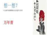 人教版八年級(jí)上冊(cè)美術(shù)第3單元第2課《借物寓意》課件(共37張PPT)