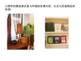 人教版八年級(jí)下冊(cè)3第2課 擺件巧安排課件PPT