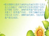 人教版九年級(jí)下冊(cè)2保護(hù)世界遺產(chǎn)課件PPT