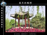 新人美版七年級(jí)下冊(cè)13用相機(jī)記錄我的旅行ppt課件