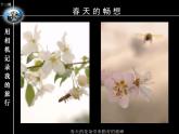 新人美版七年級(jí)下冊(cè)13用相機(jī)記錄我的旅行ppt課件
