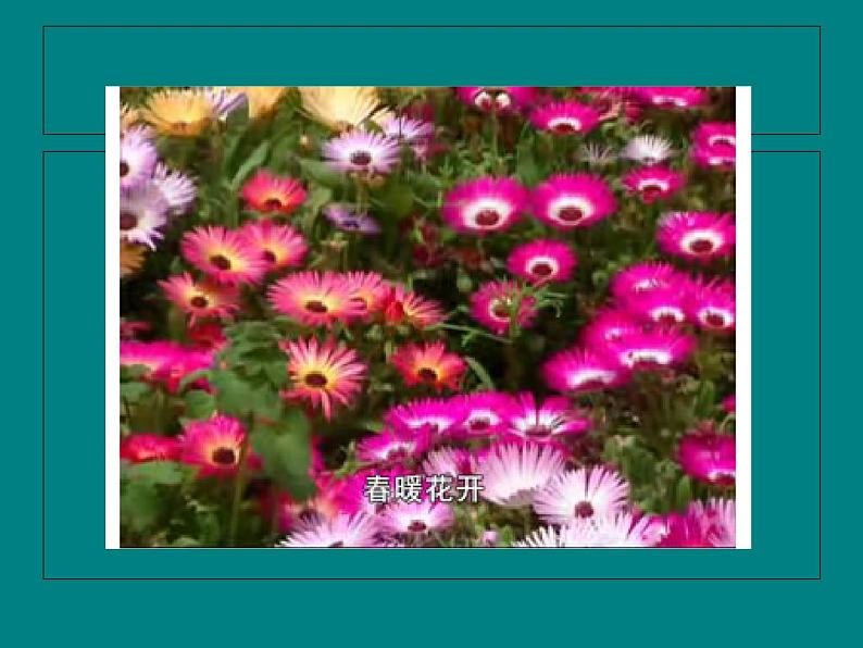 人教版七年级下册第二单元第2课春天的畅想1课件02