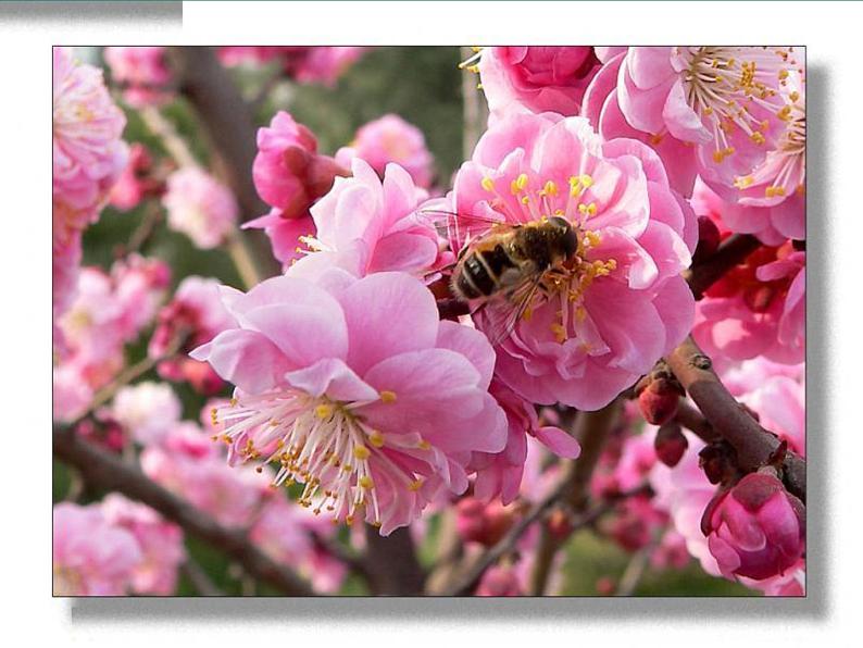 人教版七年级下册第二单元第2课春天的畅想1课件04