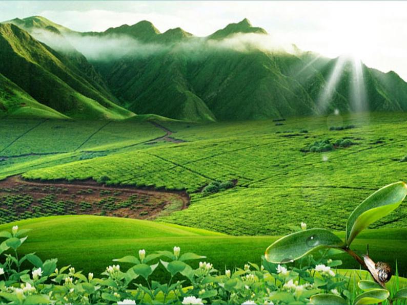 人教版七年级下册第二单元第2课春天的畅想1课件06