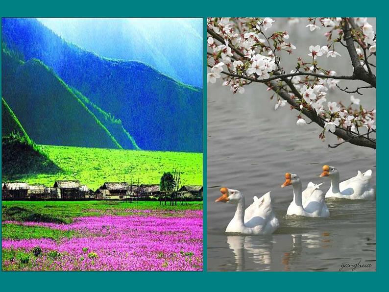 人教版七年级下册第二单元第2课春天的畅想1课件07