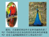 人美版初中美术七年级上册 《大自然的色彩》实用课件