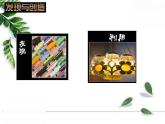 人美版初中美術(shù)七年級(jí)上冊(cè) 《發(fā)現(xiàn)與創(chuàng)造》實(shí)用課件