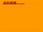 苏少版八年级美术上册 第3课 变迁中的家园课件PPT