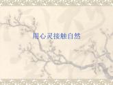 蘇少版八年級(jí)美術(shù)上冊(cè) 第2課 用心靈接觸自然課件PPT
