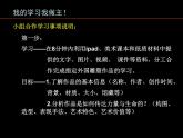 苏少版九年级美术上册 第9课 力量与生命——外国雕塑艺术课件PPT