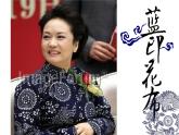苏少版八年级美术上册 第6课 蓝白之美课件PPT