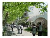 蘇少版八年級(jí)美術(shù)上冊(cè) 第2課 用心靈接觸自然課件PPT