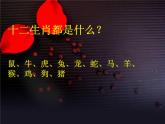 4生肖的聯(lián)想課件PPT