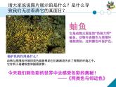 3同類色與鄰近色課件PPT