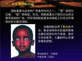9環(huán)保招貼設計課件PPT