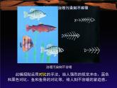 9環(huán)保招貼設計課件PPT