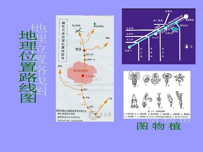 手绘线条—会说话的图画课件PPT第5页