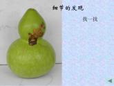 湘美版美術(shù)八上第4課《用畫筆觸摸細節(jié)》課件1