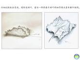 湘美版美術(shù)八上第4課《用畫筆觸摸細節(jié)》課件4