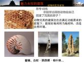 湘美版美術(shù)九上第6課《魅力永恒的建筑》課件4
